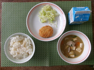 5月11日　小学校