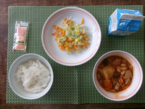 6月11日　小学校